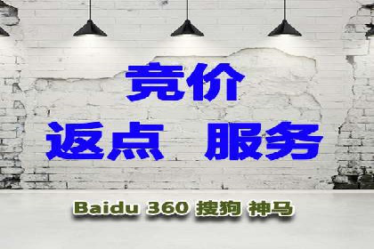 百度竞价推广公司实战案例：打造爆款产品的广告策略